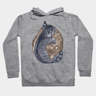 kitten snuggle puddle Hoodie